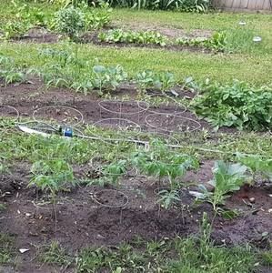 Meet your Posher, Tara